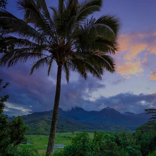  گاهی دلم میخواد بگم که منمو فلانی شما همه قلب از جا کنده